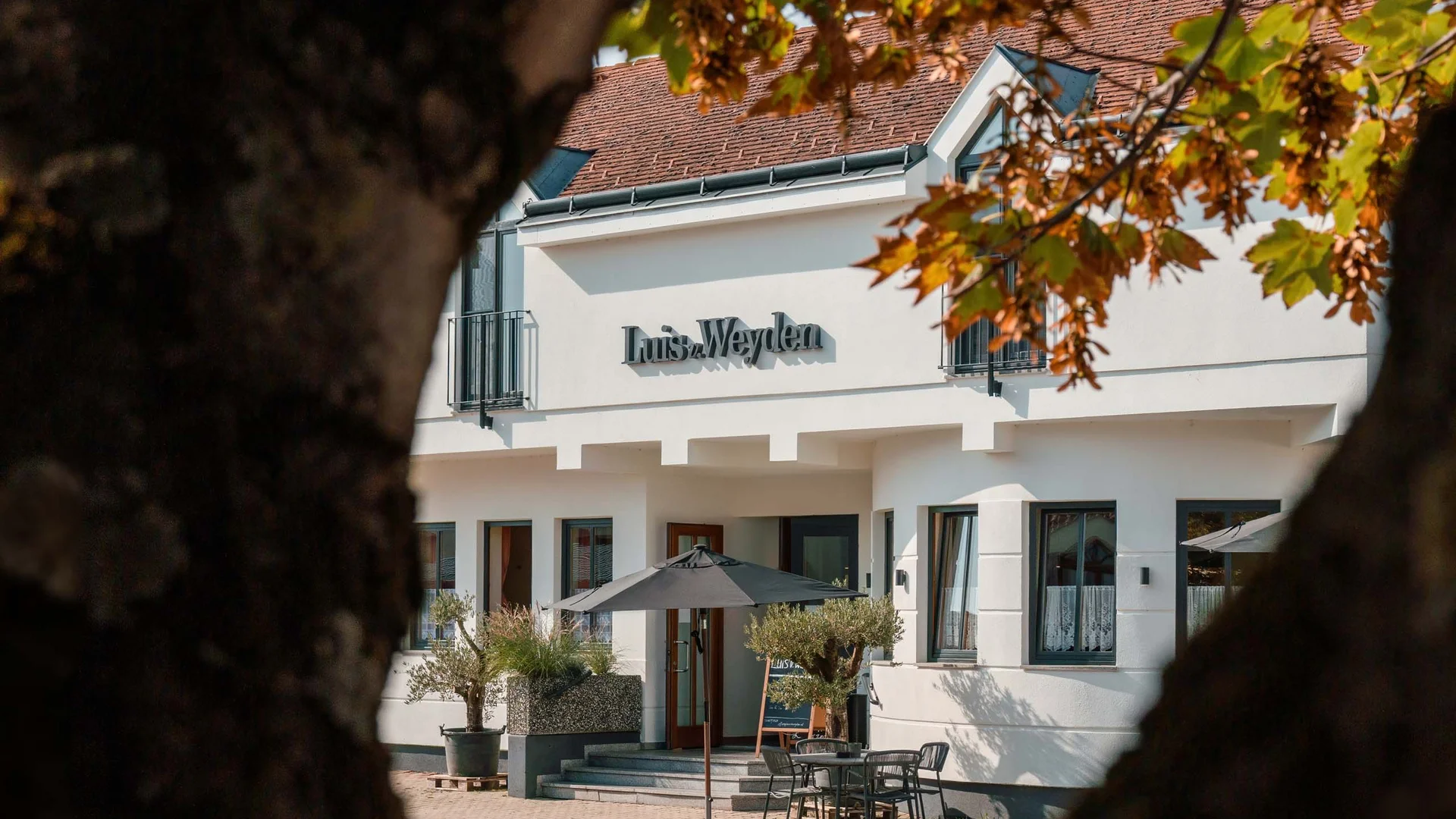 Unser Hotel in Weiden am See: ein Schmuckstück Blick durch Baumstämme auf ein weißes Gebäude mit Terrasse und Sonnenschirm