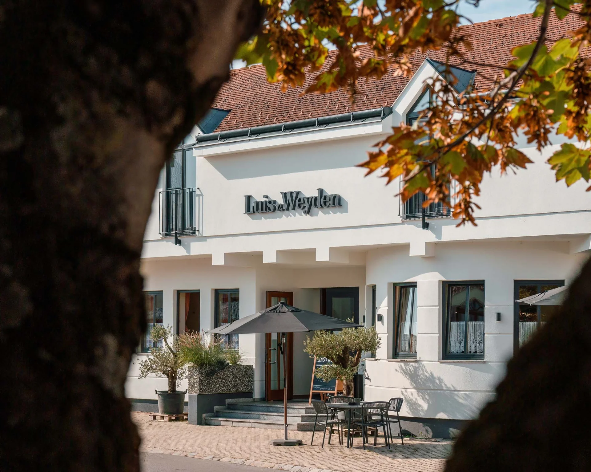 Blick durch Baumstämme auf ein weißes Gebäude mit Terrasse und Sonnenschirm