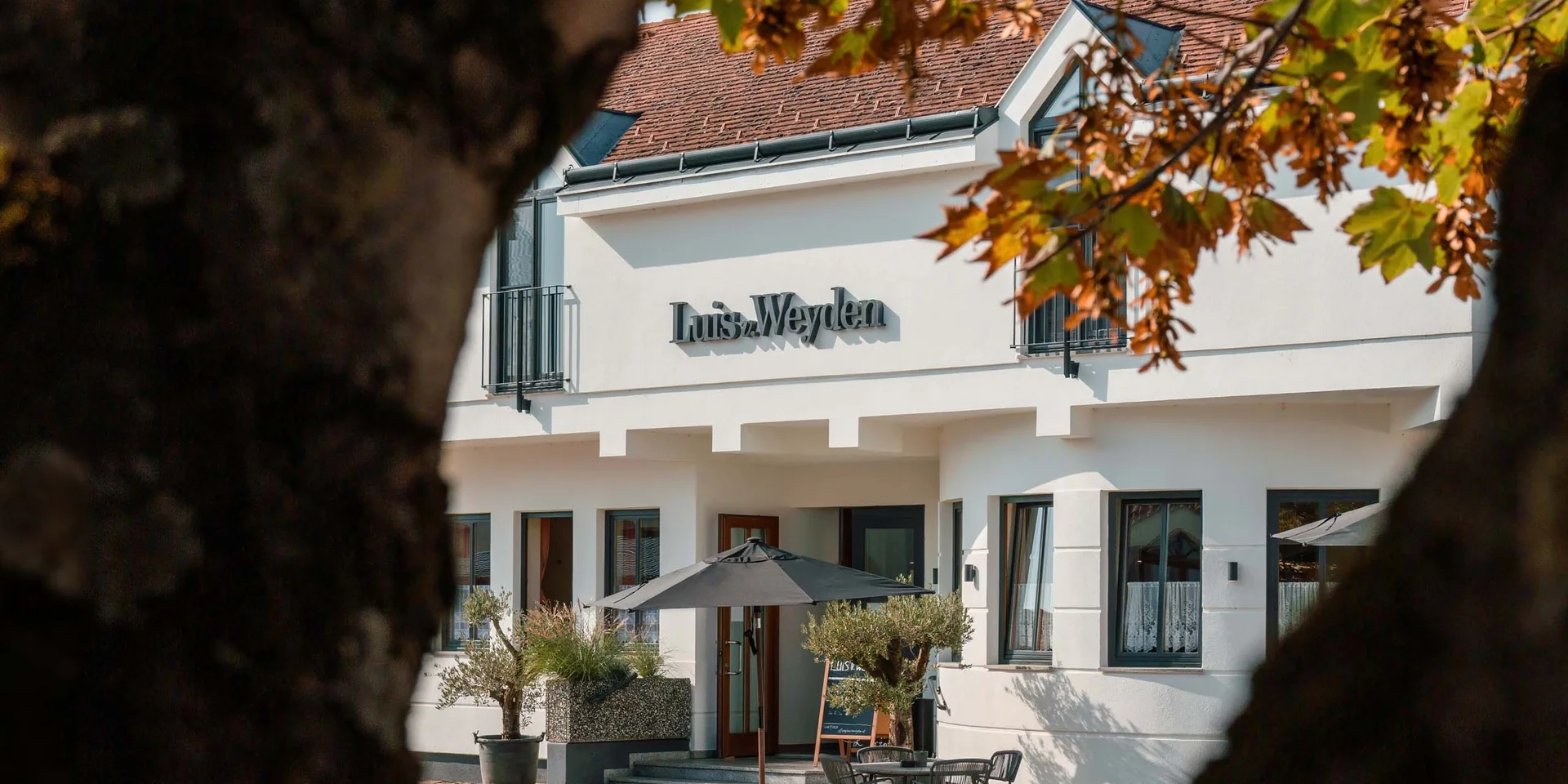 Ansicht des Luis am Weyden-Gebäudes im Herbst mit Außenbestuhlung