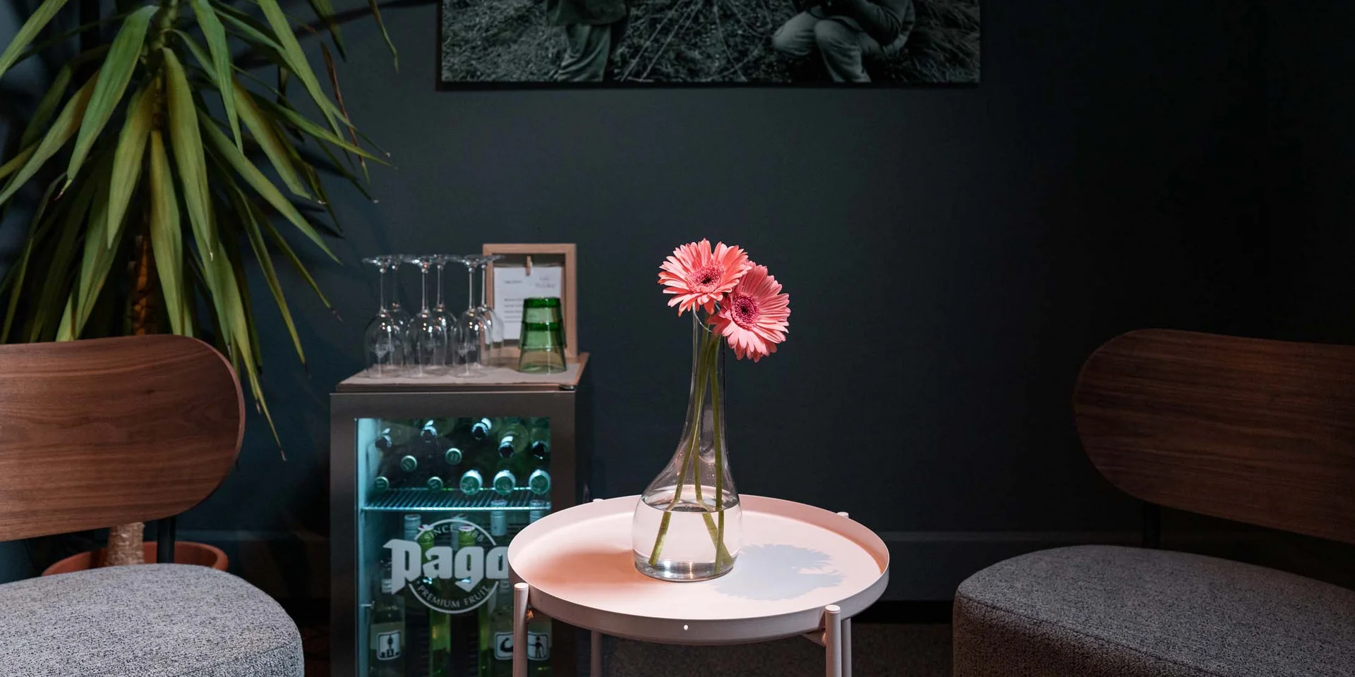 Zwei pinke Blumen in Vase auf kleinem weißen Tisch zwischen zwei Sesseln