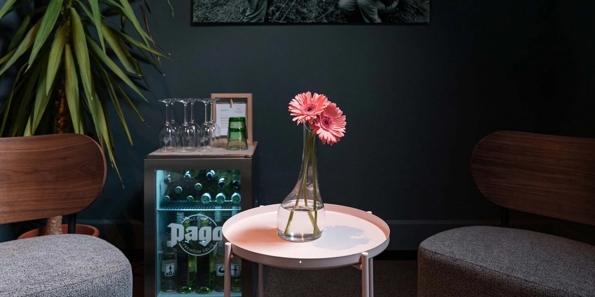 Zwei pinke Blumen in Vase auf kleinem weißen Tisch zwischen zwei Sesseln