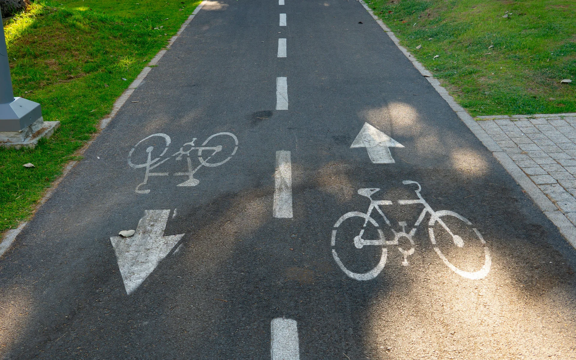 Neusiedler See Radweg: Übernachtung im Luis von Weyden Markierter Radweg mit Fahrradsymbolen und Richtungspfeilen